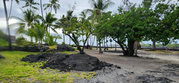 Pu'uhonua O Honaunau National Historical Park by null
