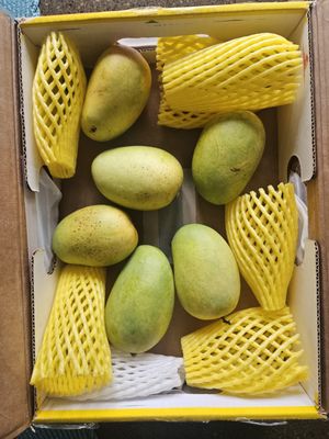 Patel Brothers by null