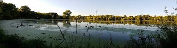 Central Park by null