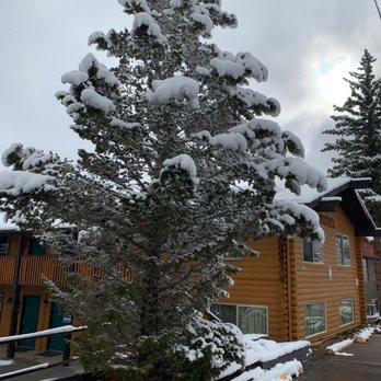 Murphy's River Lodge - From the top parking area (near the road). Beautiful snow covered trees. The top windows were our room. - Hotels Near Me - Estes Park, Colorado