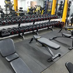 Hollywood Athletics & Wellness