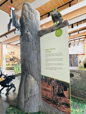 Westwood Hills Nature Center by null