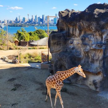 Sydney Zoo - Zoos Near Me - Bungarribee, NSW