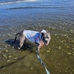 Grayland Beach State Park - Enjoying the water and the unexpected sunshine