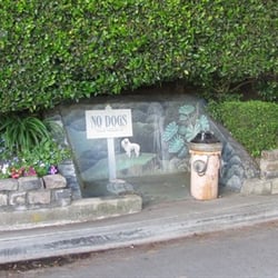 Teacup Poodles OK Mural - Ginger Mural, Telegraph Hill, San Francisco, CA