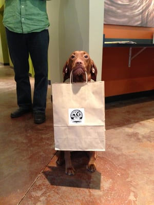 Barrington Coffee Roasting Company by null