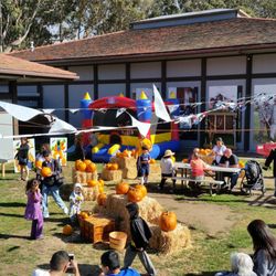 Pomeroy Pumpkin Patch