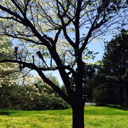 Ferry Plantation House