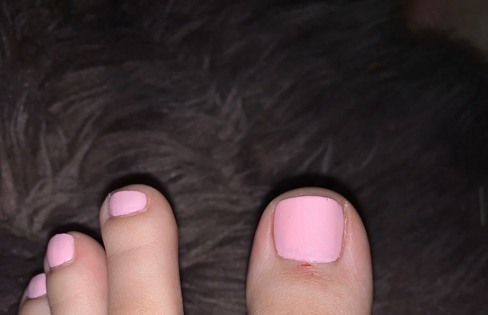 LUXURY NAILS & SPA - 13 Photos & 16 Reviews - 11527 Palmbrush Trl