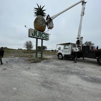 Steve's Tree Service - Tree Services Near Me - Lake Placid, Florida Steve's Tree Service - Tree Services Near Me - Lake Placid, Florida