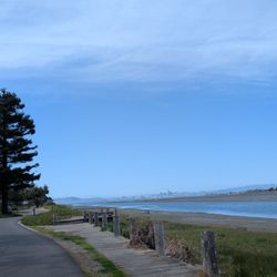 Bay Farm Island Shoreline Trail - Trail