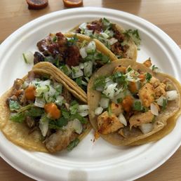 Taco Tuesday. One of each on special: Carnitas Taco, Chicken Taco, Chorizo Taco, and Al Pastor Taco Taco Tuesday. One of each on special: Carnitas Taco, Chicken Taco, Chorizo Taco, and Al Pastor Taco