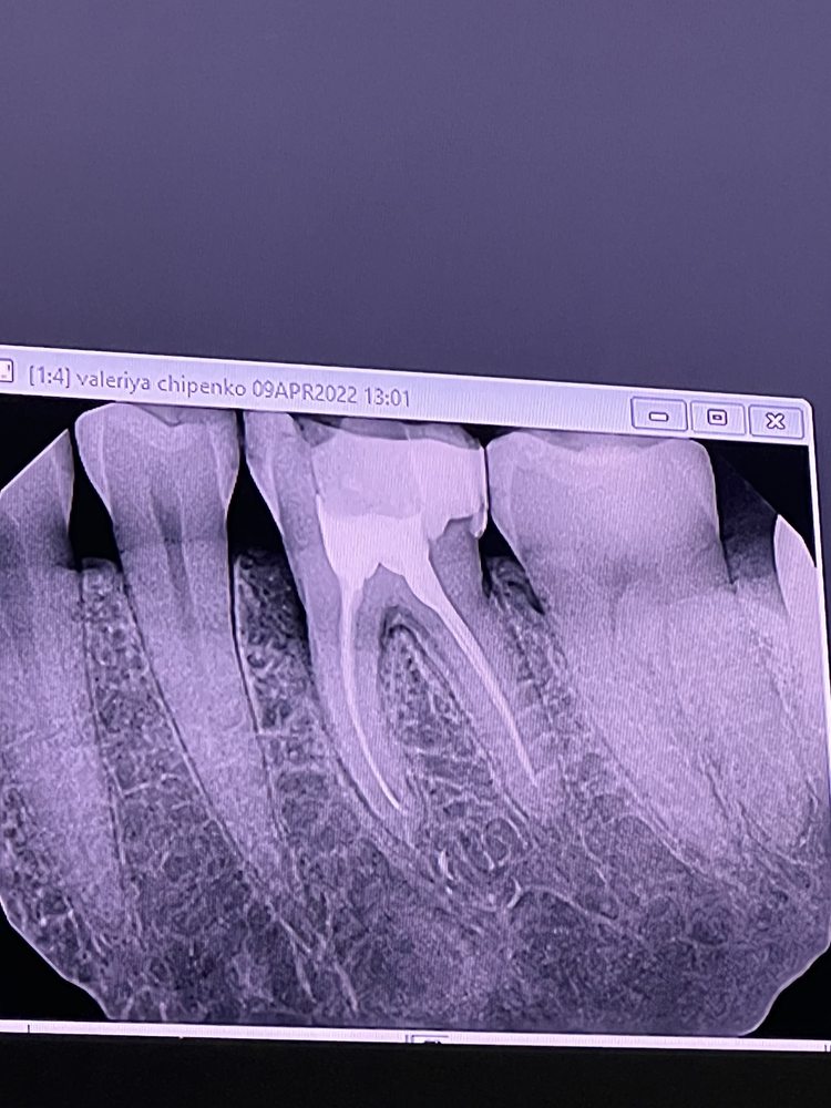 Gregory Vaysleyb, DDS