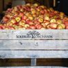 Solebury Orchards gift card