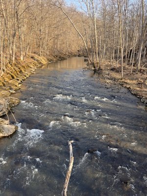 Clifton Gorge State Nature Preserve by null