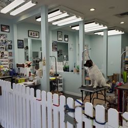 Yuko's Dog Grooming Giftly Beautiful Gift Card Alternative