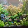 Photo of Aquarium Care