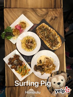 The Surfing Pig Hawaii by null