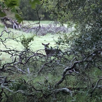 Trione-Annadel State Park - Parks Near Me - Santa Rosa, California Trione-Annadel State Park - Parks Near Me - Santa Rosa, California