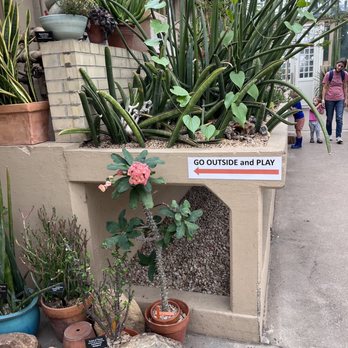 Garfield Park Conservatory - Cactus - Parks Near Me - Chicago, Illinois