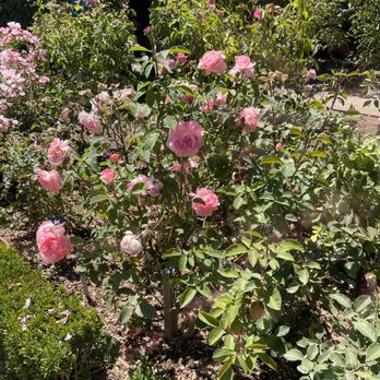 Filoli - Botanical Gardens Near Me - Woodside, California