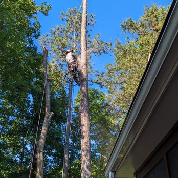 Tree Men Services - Tree Services Near Me - Raleigh, North Carolina