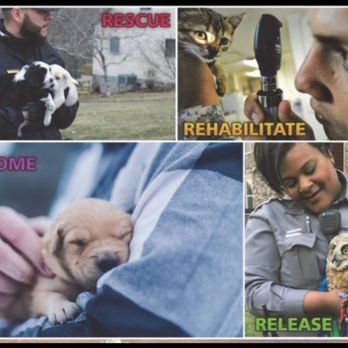 Guardian Spca - Private Investigation Near Me - Riverside, California Guardian Spca - Private Investigation Near Me - Riverside, California