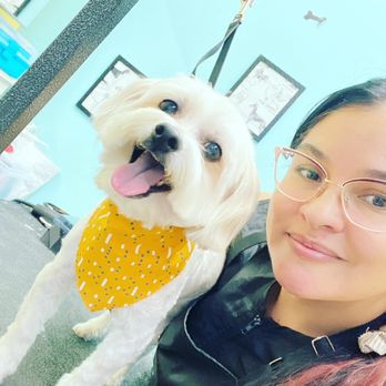 Melligemas Pet Art - ofrecemos descansos y un trato con mucho amor y musico terapia para que esta experiencia sea tranquila y relajante - Pet Groomers Near Me - Ontario, California Melligemas Pet Art - ofrecemos descansos y un trato con mucho amor y musico terapia para que esta experiencia sea tranquila y relajante - Pet Groomers Near Me - Ontario, California