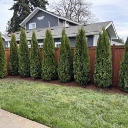 EO Landscaping - This photo doesn't do it justice, it really changes the space
