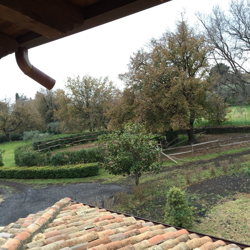 Urbanfile - Catania: Santo Stefano: ovvero sulla comunità greca di Catania, image size:1000x1000