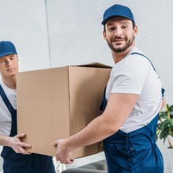 Michigan Moving Pros