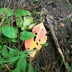 Trail View State Park - The promise of fall