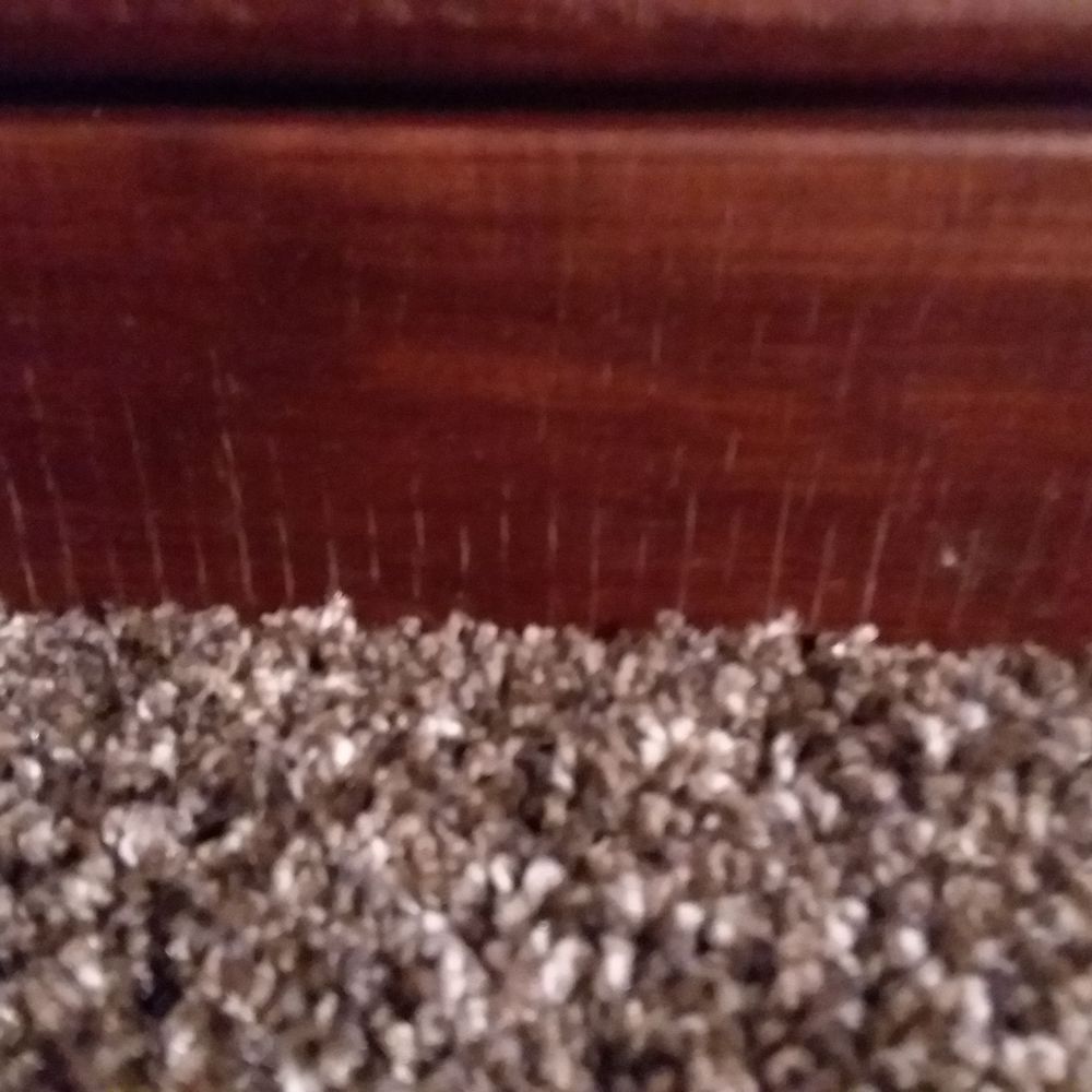 Crew2 - Flooring Near Me - Minneapolis, Minnesota