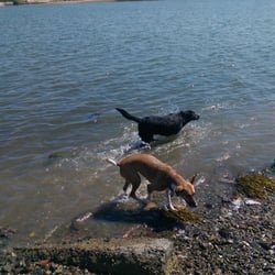 Victory Road Park - Water fun in the bay