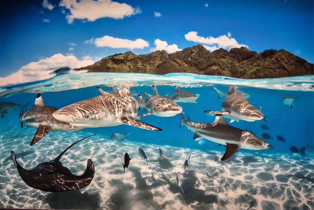 Gasometer Oberhausen