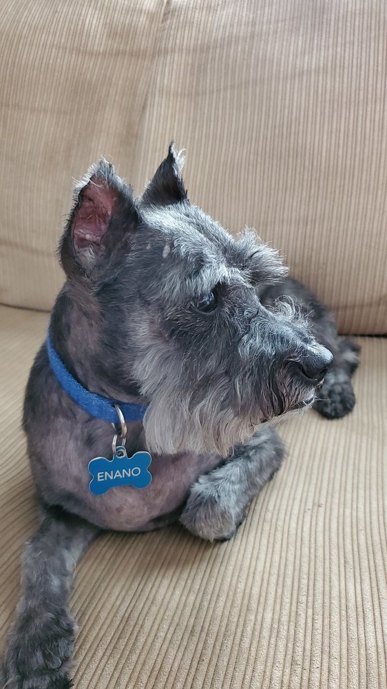 TONI’S MOBILE PET SPA Updated June 2024 11 Photos & 28 Reviews