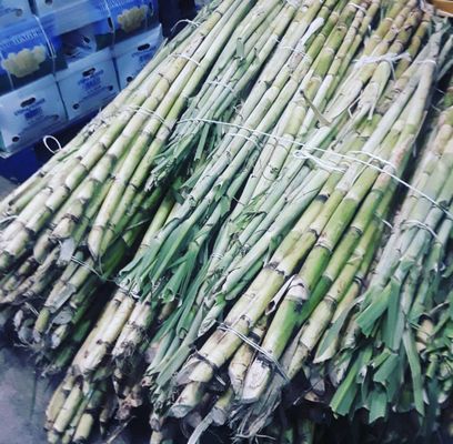 Cane & Coconut by null