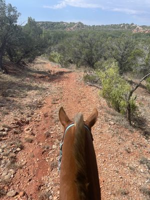 Abilene State Park by null