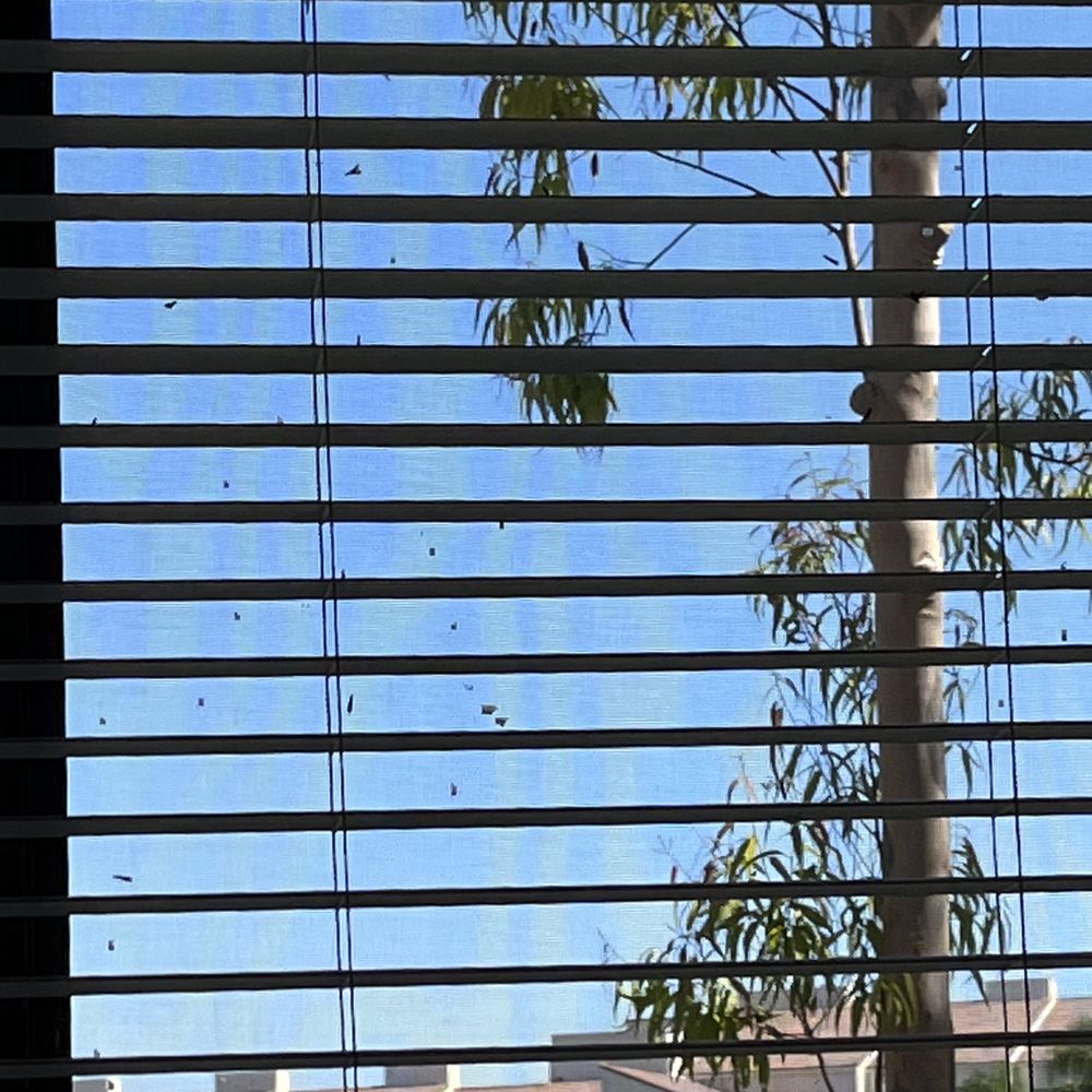 Irvine Company Apartments San Diego, CA - Last Updated January 2026 - Yelp