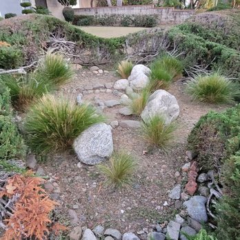 Reynaldo Landscape Inc. - Juniper hedges and shrubs trimmed by Reynaldo Landscape Inc. - Landscaping Near Me - La Habra, California Reynaldo Landscape Inc. - Juniper hedges and shrubs trimmed by Reynaldo Landscape Inc. - Landscaping Near Me - La Habra, California