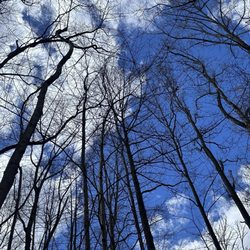 Goodyear Heights Metro Park - This was a stunning photo of the view from within the hiking woods. Absolutely breathtaking!