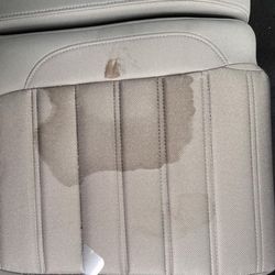 Stellar Detailing