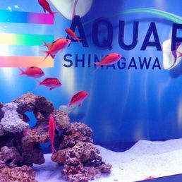 アクアパーク アクアパーク品川 - Updated October 2025 - 320 Photos & 30