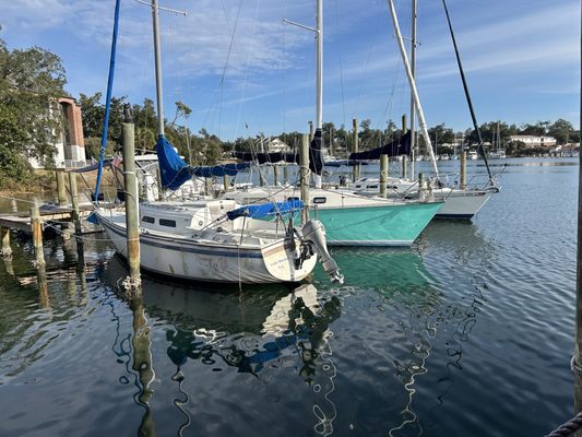 Bayou Joes Marina & Grill by null