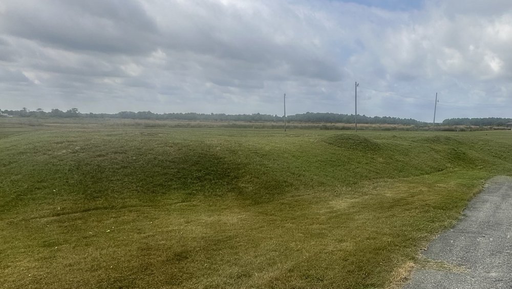 Pirana of Delaware - septic in Clayton, DE