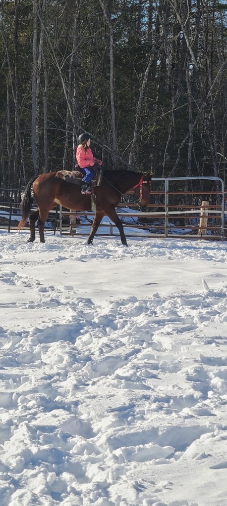 Dk Drifter Ranch - equestrian in Corinth, ME