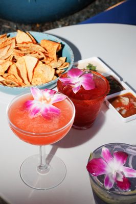 Azul Rooftop by null