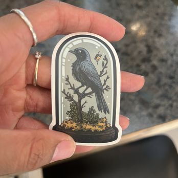 Raven's Roast Coffee Lounge - Coffee & Tea Near Me - Estes Park, Colorado