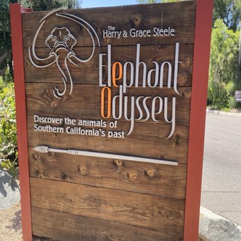 Elephant Odyssey - Zoos Near Me - San Diego, California