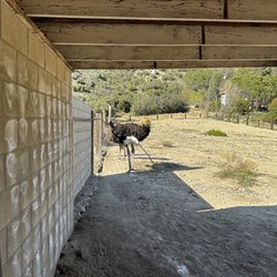 Quail Run Ranch